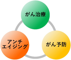 東京キャンサークリニックの治療方針を示す概念図（がん治療・がん予防・アンチエイジング）